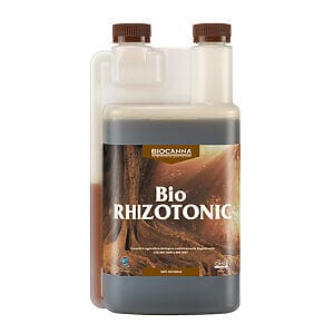 stimolatore radicale