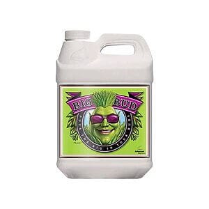 ADV - big bud