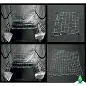 rete scrog