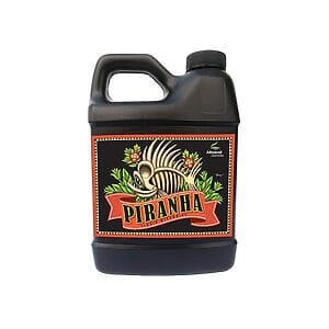 ADV - pirana