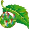 biochimica respirazione