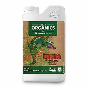 ADV - iguana juice bloom